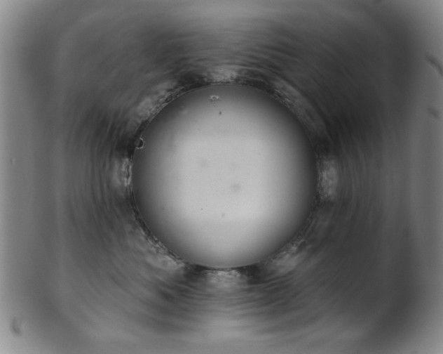 X0000102460525200808081230