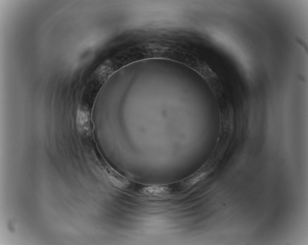 X0000102460526200808081230