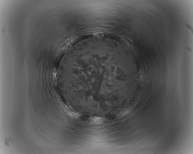 X0000102460527200808081230