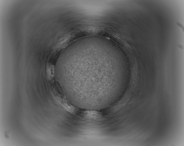 X0000102460528200808081230