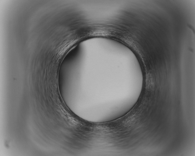 X0000102460529200808081229