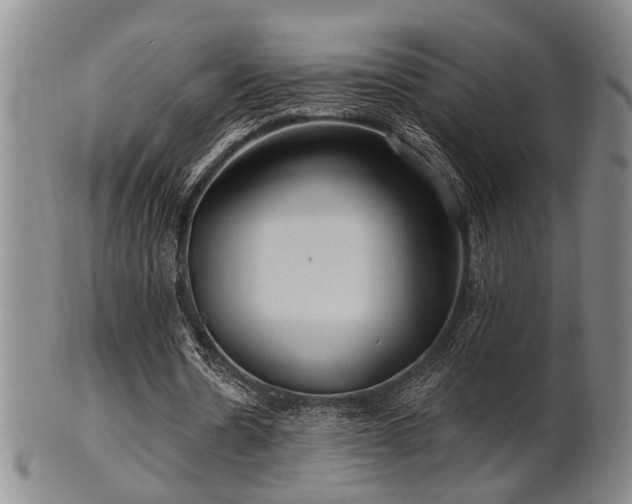 X0000102460530200808081229