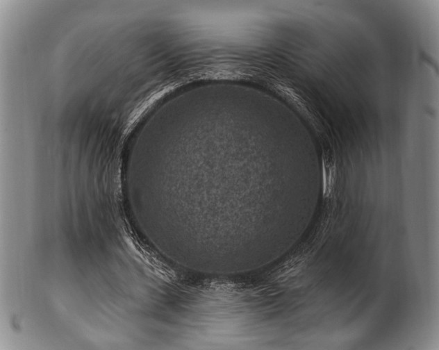 X0000102460531200808081229