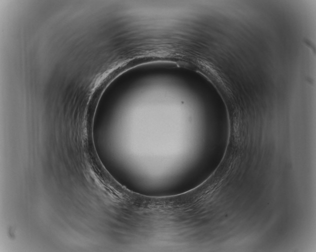 X0000102460532200808081229