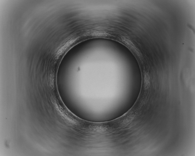 X0000102460533200808081229