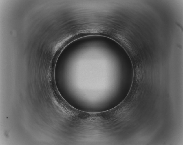 X0000102460536200808081229