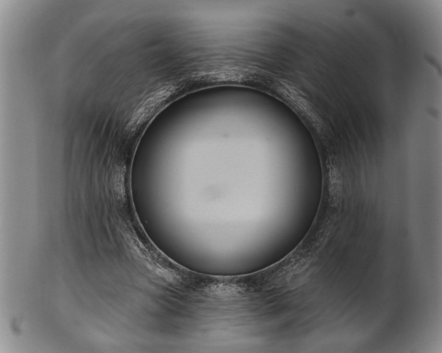 X0000102460537200808081229