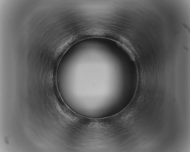 X0000102460538200808081229