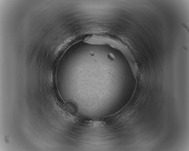 X0000102460539200808081229