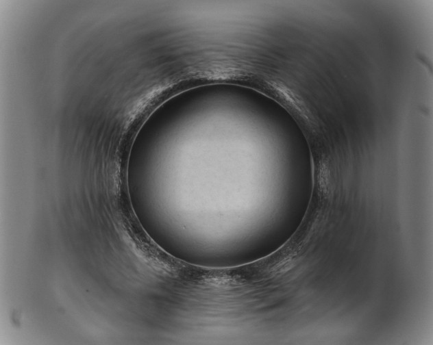 X0000102460540200808081229