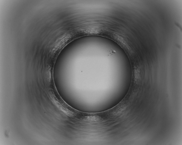 X0000102460541200808081229