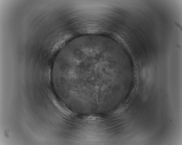 X0000102460542200808081229