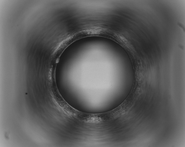 X0000102460543200808081229