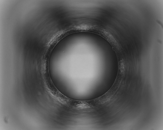 X0000102460544200808081229