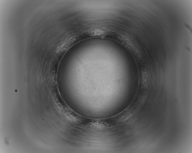 X0000102460545200808081229