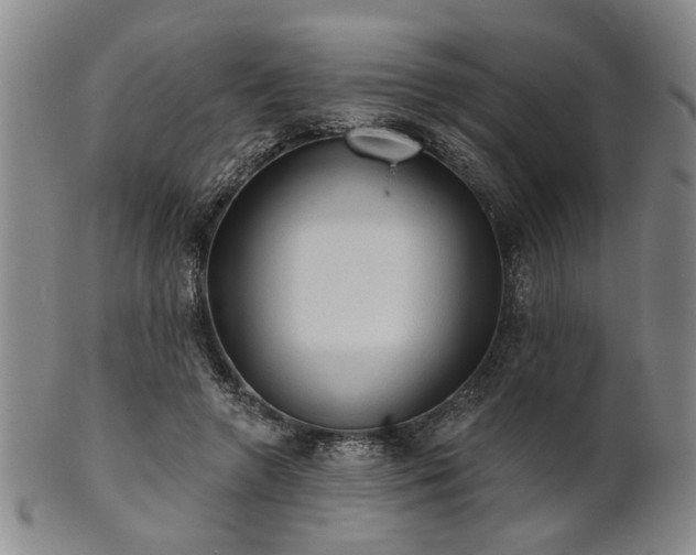 X0000102460546200808081229