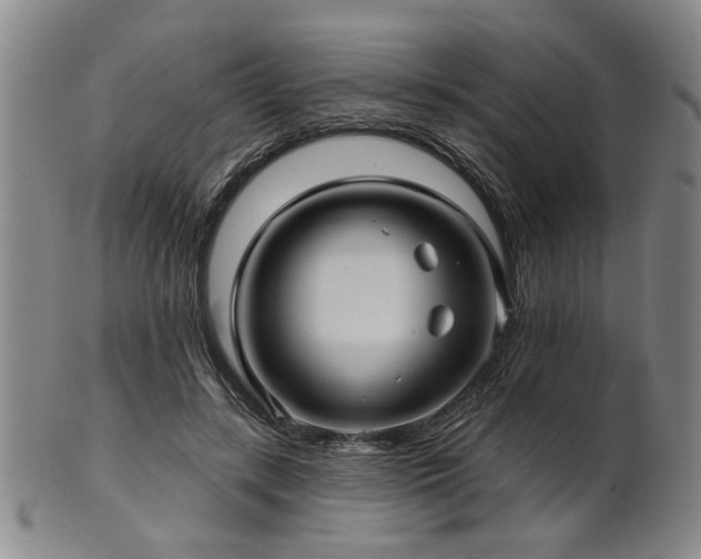 X0000102460547200808081229