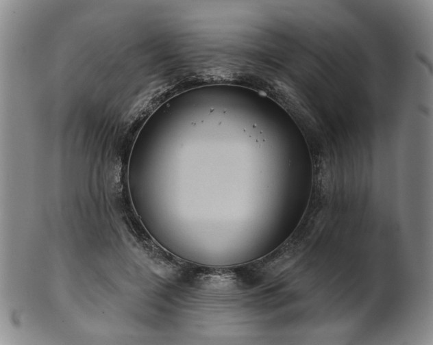 X0000102460548200808081229