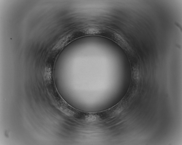 X0000102460549200808081229