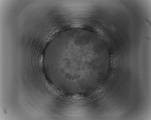 X0000102460550200808081229