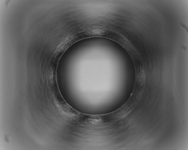 X0000102460552200808081229