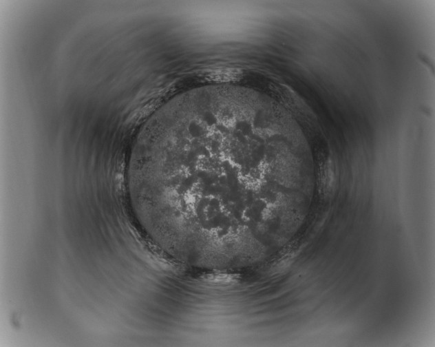 X0000102460553200808081229