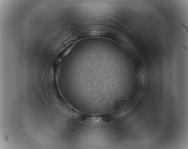 X0000102460554200808081229