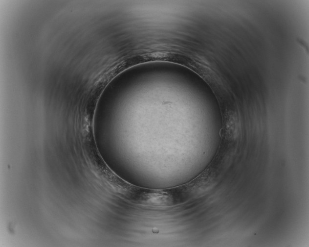 X0000102460555200808081229