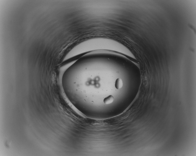 X0000102460556200808081229