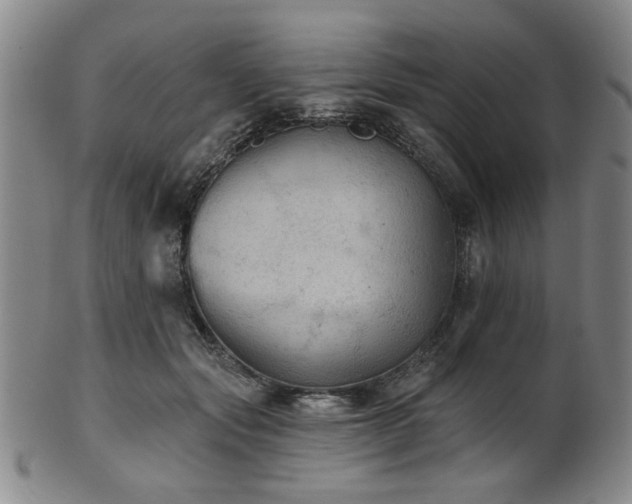 X0000102460557200808081229