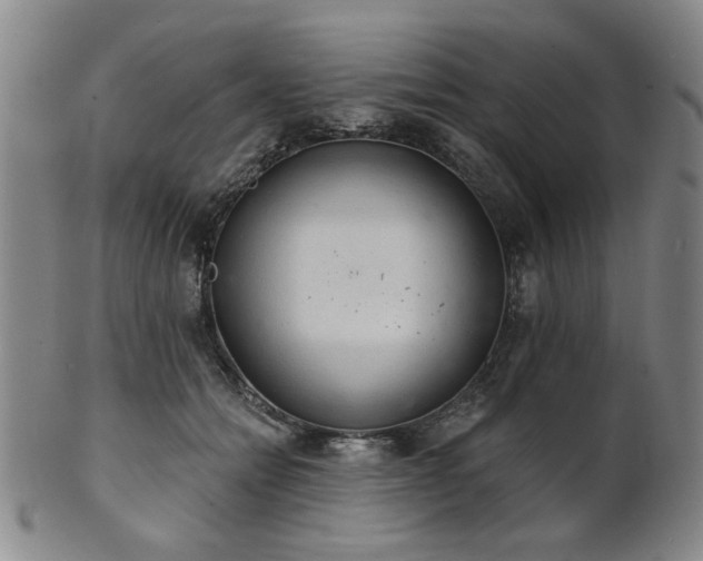 X0000102460558200808081229