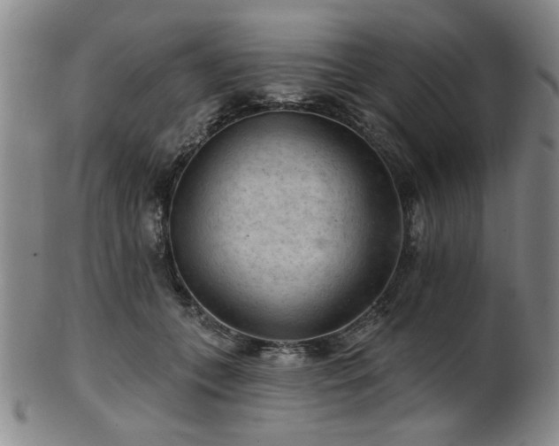 X0000102460559200808081229