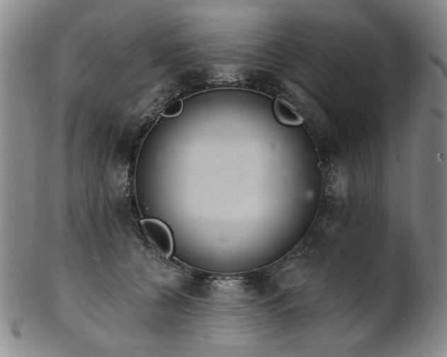 X0000102460560200808081230