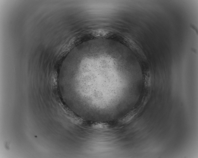 X0000102460561200808081230