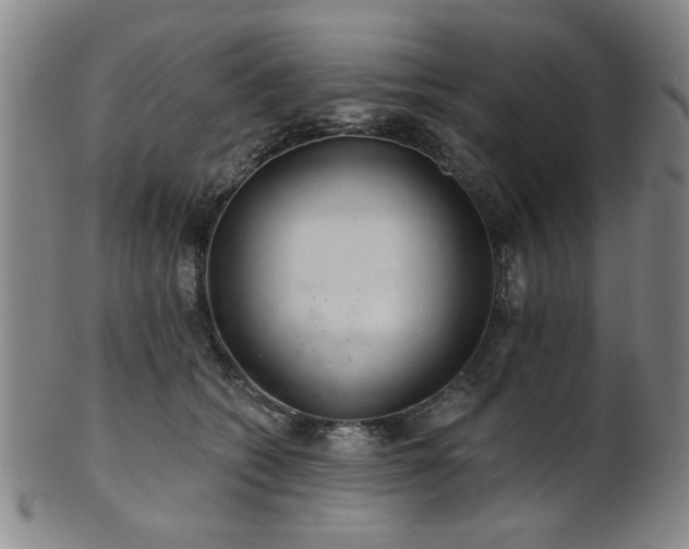 X0000102460562200808081230