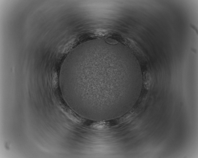 X0000102460563200808081230