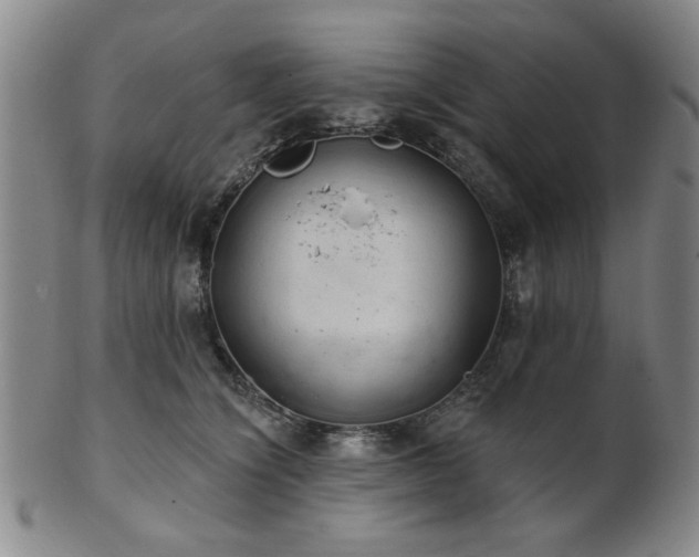 X0000102460564200808081230