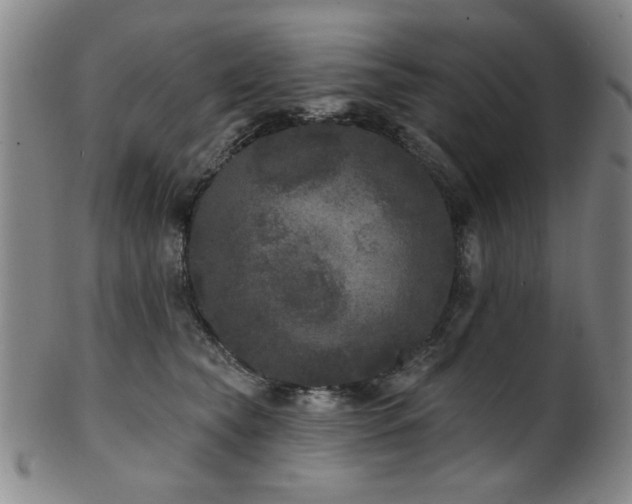 X0000102460565200808081230