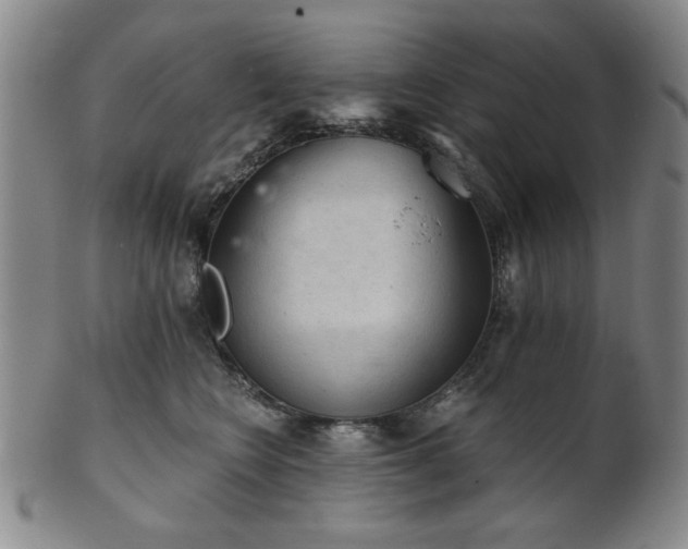 X0000102460566200808081230