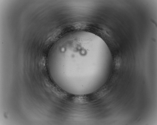 X0000102460567200808081230