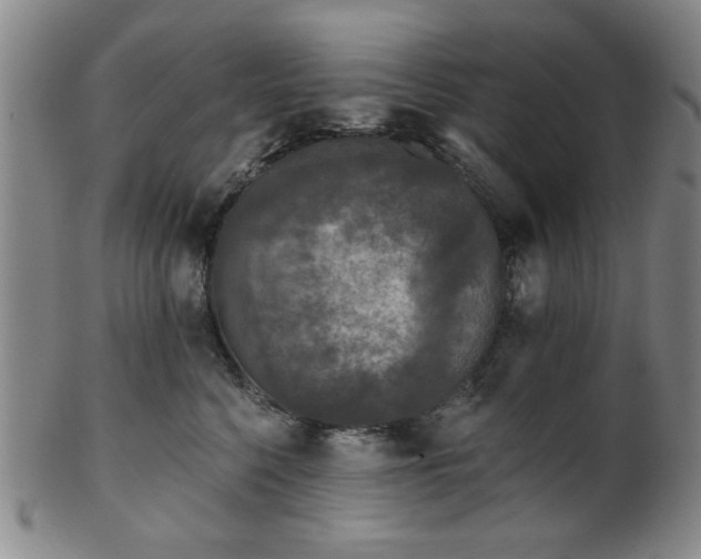 X0000102460568200808081230