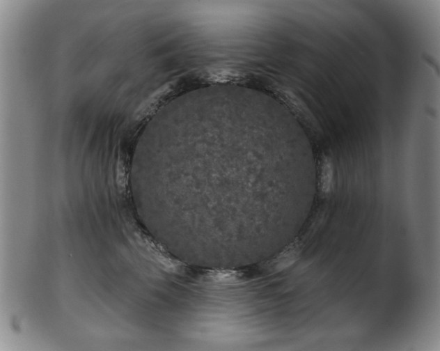 X0000102460569200808081230