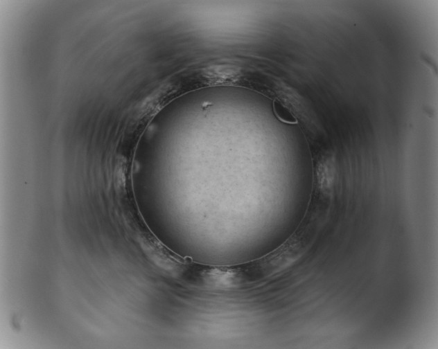 X0000102460570200808081230