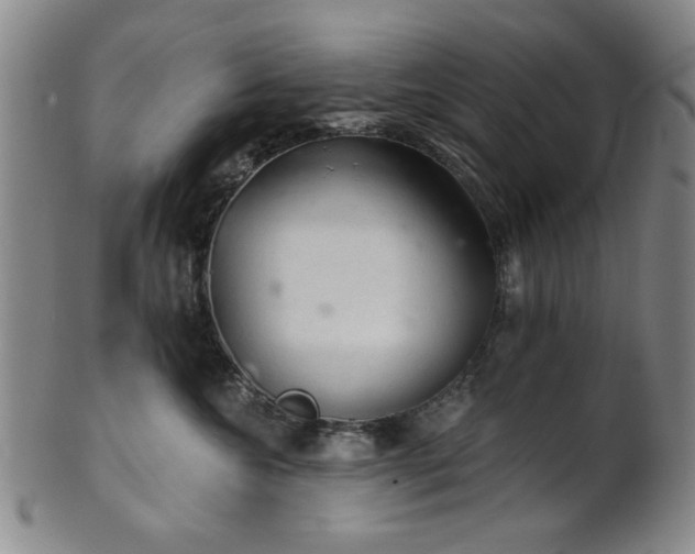 X0000102460572200808081230