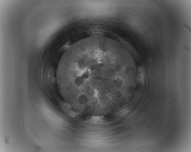 X0000102460573200808081230