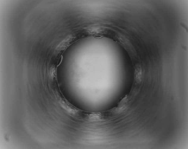 X0000102460574200808081230