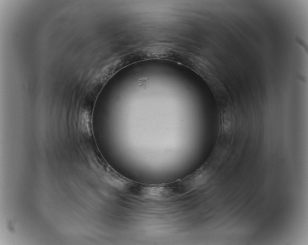 X0000102460575200808081230