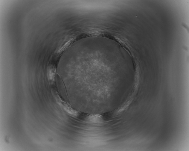 X0000102460576200808081230