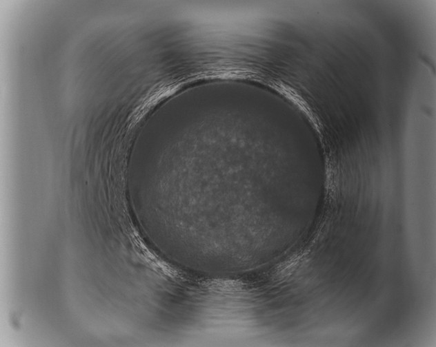 X0000102460577200808081229