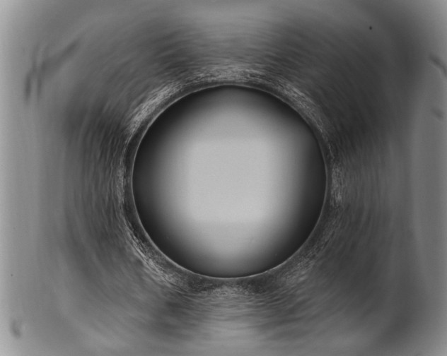 X0000102460578200808081229